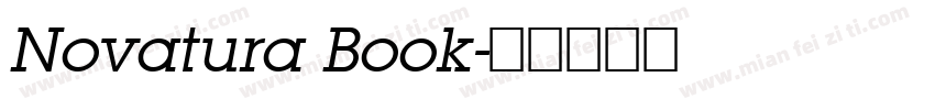 Novatura Book字体转换